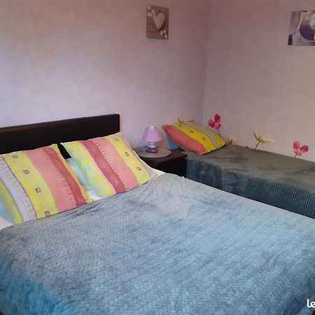 Chambres D'Hotes Les Nefliers Amboise Exteriér fotografie
